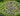Messenger_creation_A564B315-79BC-42BD-9AEE-12CA2A2438FF