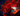 ⚡Eviledon⚡ Steal A Brainrot ⚡Instant Delivery