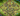 Th14 Max Super Hot Deal ||