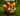 Copilot_20250824_060715