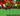 1x BONE BLOSSOM Tree | 6.0T+ COINS | DECORATED BASE ZONE | ✅ FULL ACCESS | ⚡ INSTANT DELIVERY