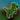 trex.png2
