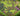 TH17 MAX // TOP TIER ACCOUNT// 7 MAX EPIC EQUIPMENTS // SUPERCHARGED DEFENCES MAX TH17