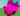 ✨Nightmare Raccoon AGE 100 + 16 SX Sheckles✨ |⛺ Grow a Garden |⚡ Instant Delivery