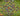 1000013567