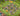 tapin_upload_0_1749161568639