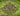 1000129320