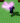 aBrcoWRPlX