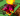 Nightmare Mimic 25kg AGE:100 +NIGHTMARE HEADLESS HORSEMAN 21KG AGE:100⚡ Fast delivery | Grow a Garden