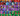 Screenshot_1