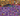 Screenshot_1