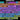 bc3d46f1-73ef-49ca-b476-c28424ab8346