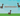 BRONTOSAURUS ✨ 15.000.000.000.000.000.000 SX SHECKLES GIFT ✨ Grow a Garden /// INSTANT DELIVERY