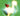 Ascended Flamingo ⚡ Instant Delivery / Grow A Garden