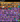 Screenshot_1