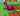 dxDejQaucG