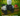 ✨Gorilla Chef + 28,000,000,000,000,000,000,000 Sheckles (28SX)✨ |⛺ Grow a Garden |⚡ Instant Delivery