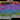 g2ErmMpa8B