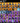 Screenshot_1