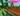 SUNFLOWER TREE + MOON MELON + PARADISE PETAL | 16.044QI COINS | FULL ACCESS | INSTANT DELIVERY