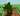 Screenshot 2025-09-02 023912