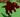 Screenshot 2025-08-18 002452