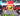 Sammyni Spyderini (Random Effect Chance) ⚡ Instant Delivery / Steal A Brainrot