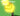 Shocked Queen Bee ⚡ Instant Delivery / Grow A Garden