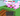 2x BONE BLOSSOM TREE (GLIMMERING) | HUGE SEED COLLECTION | 5.993QI¢ | ✅ FULL ACCESS | ⚡ INSTANT DELIVERY