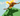 ✨Mega Phoenix + 12,000,000,000,000,000,000,000 Sheckles (12SX)✨ |⛺ Grow a Garden |⚡ Instant Delivery