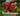 d4697125-aaa4-4939-90df-49b788e294a4