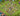 tapin_upload_0_1749161568466