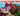 OWNED Roblox - Grow a Garden (4)