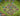 tapin_upload_0_1748788104852