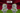 resim_2025-08-18_145938113