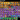 Screenshot_31
