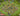 tapin_upload_0_1748788331450