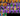 Screenshot_6
