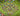 tapin_upload_0_1748788331916