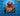 lAP40kb