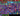 #IS4993 [PC/PSN/XBOX] 104 Skins | Fishstick | Frozen Red Knight | Holiday Boxy | Frozen Raven | Neko Hatsune Miku | Chaos Director | 100 VB