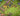 tapin_upload_0_1749161568606