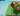 ✅ 2x BONE BLOSSOM Trees + SUNFLOWER Tree + MOON MANGO Tree | ✅20B+ COINS | RARE PETS + HUGE INVENTORY | ✅ FULL ACCESS | ⚡ INSTANT DELIVERY
