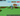 BONE BLOSSOM TREE | 800 M+ COINS | CLEAN SETUP BASE | INSTANT DELIVERY