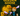 16000
