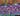 tapin_upload_0_1747430923295