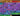 tapin_upload_1_1747453204649