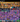 Screenshot_81