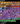 vfshACT5gj