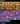 vh6HEpzK20